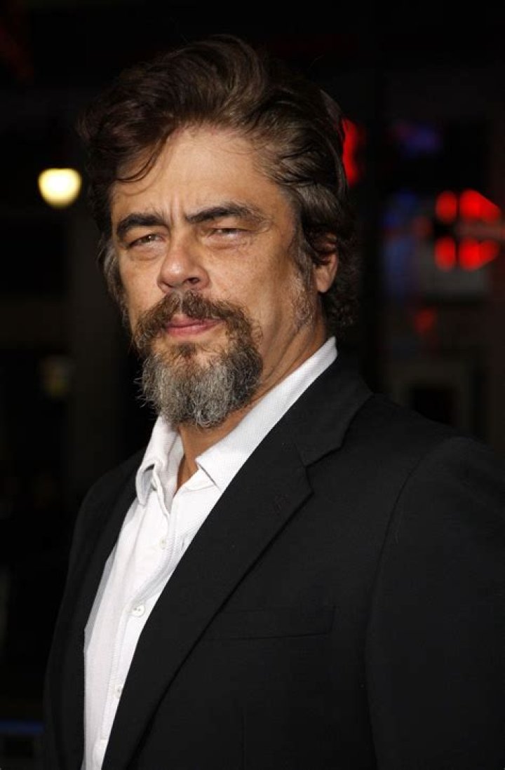 Benicio Del Toro Movies, Bio and Lists on MUBI