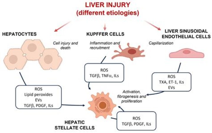 Cathy Lasry: A Multifaceted Talent In The Arts