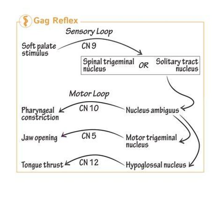 Colin Cloud Gag Reflex