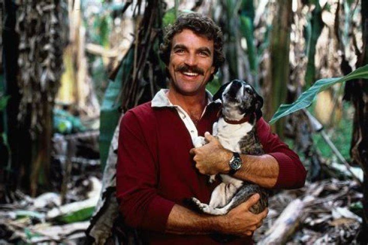 Did Tom Selleck Died September 2024 Megen Sidoney