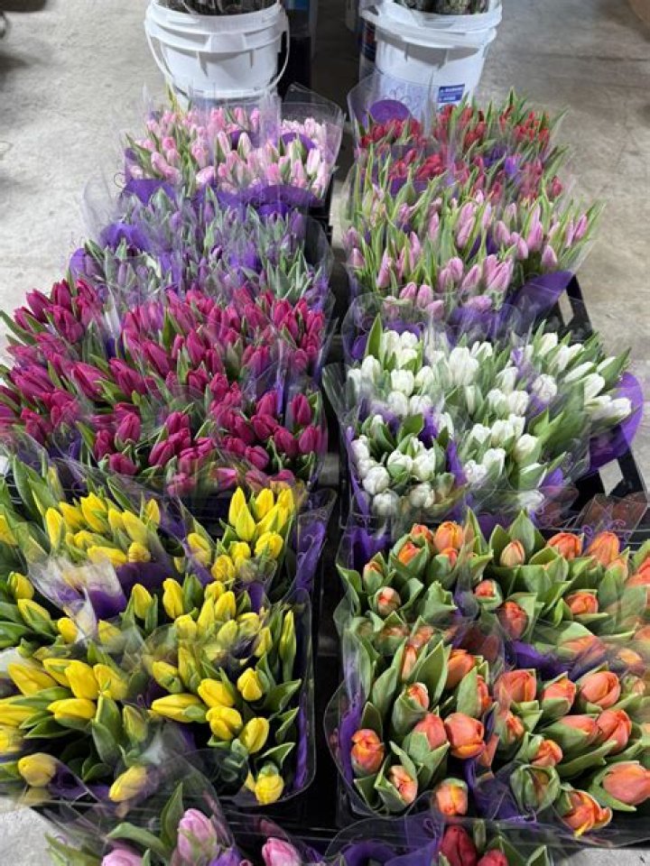 Discover The Beauty Of Nature With Distribuidora Flower Shop El Chapin