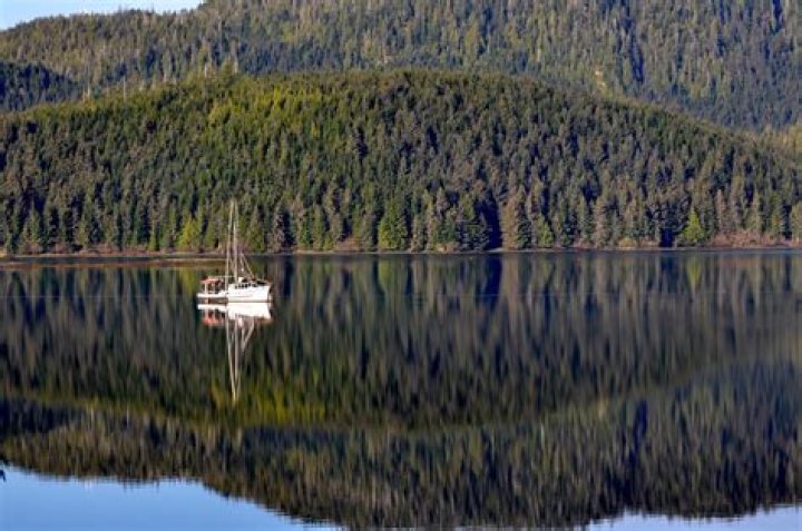 Discovering Cole Sturgis: A Journey Through Thorne Bay, Alaska