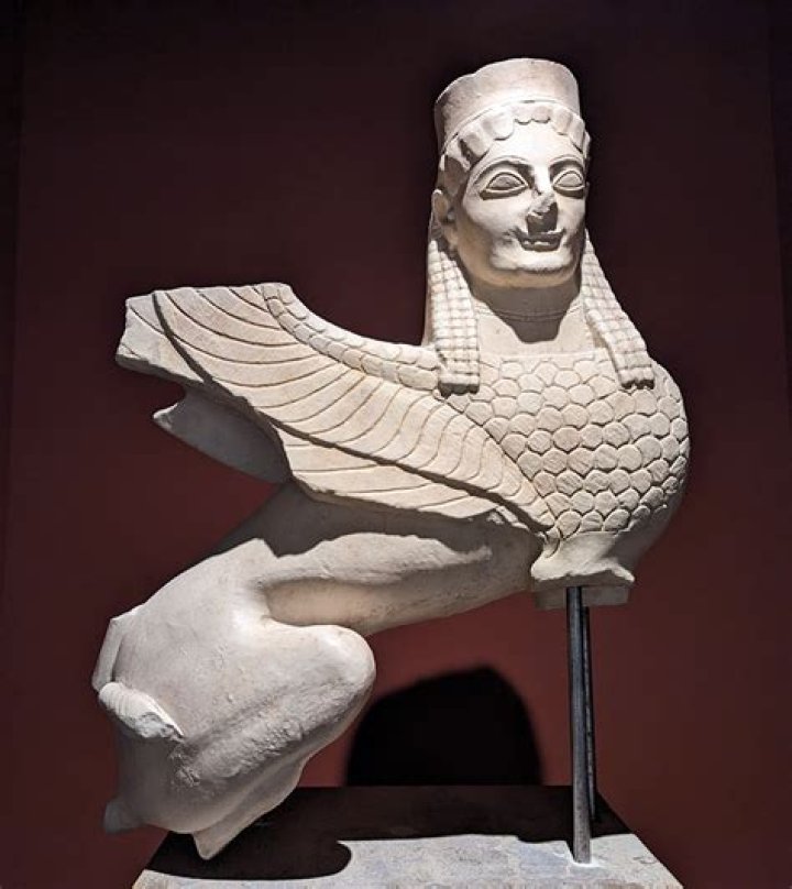 Discovering The Enigmatic World Of Ambatabus