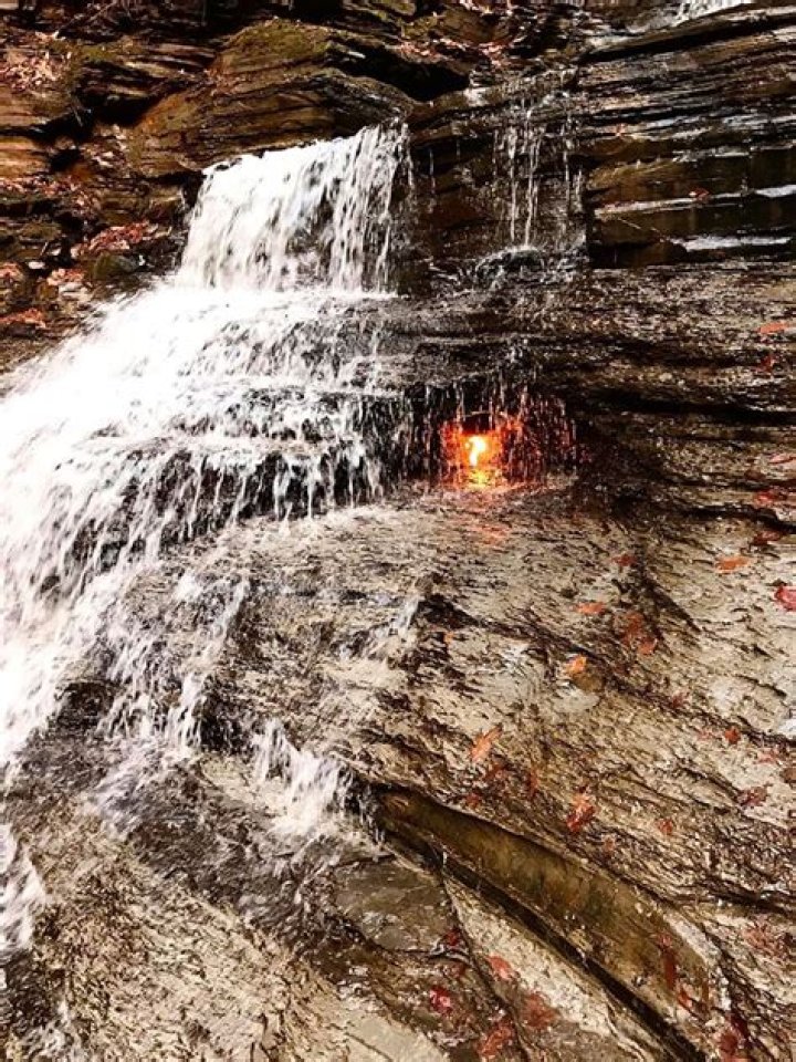 Discovering The Life And Impact Of Krystian Magretta In Orchard Park, NY