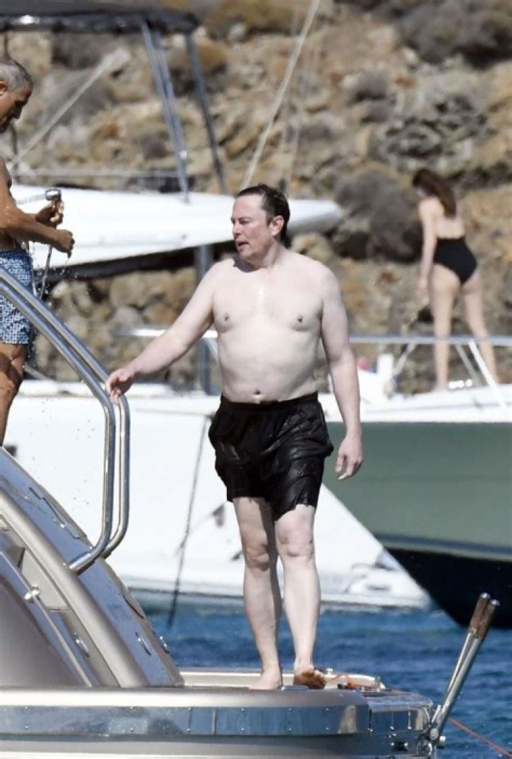 Elon Musk responds to pics of him shirtless in Mykonos 'Free the nip!'
