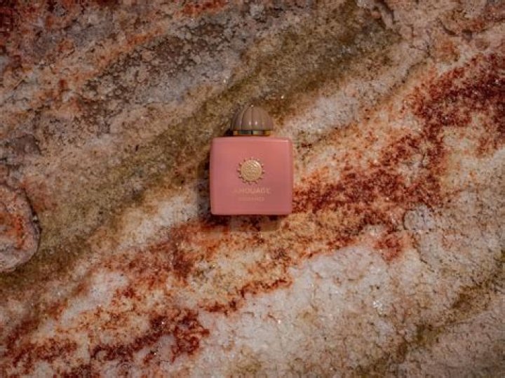 Exploring Blueland's Net Worth: A Deep Dive Into The Eco-Friendly Brand