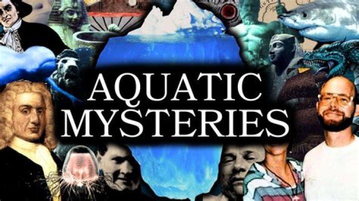 Exploring The Aquatic Mysteries: Is There An Ocean In Arizona?