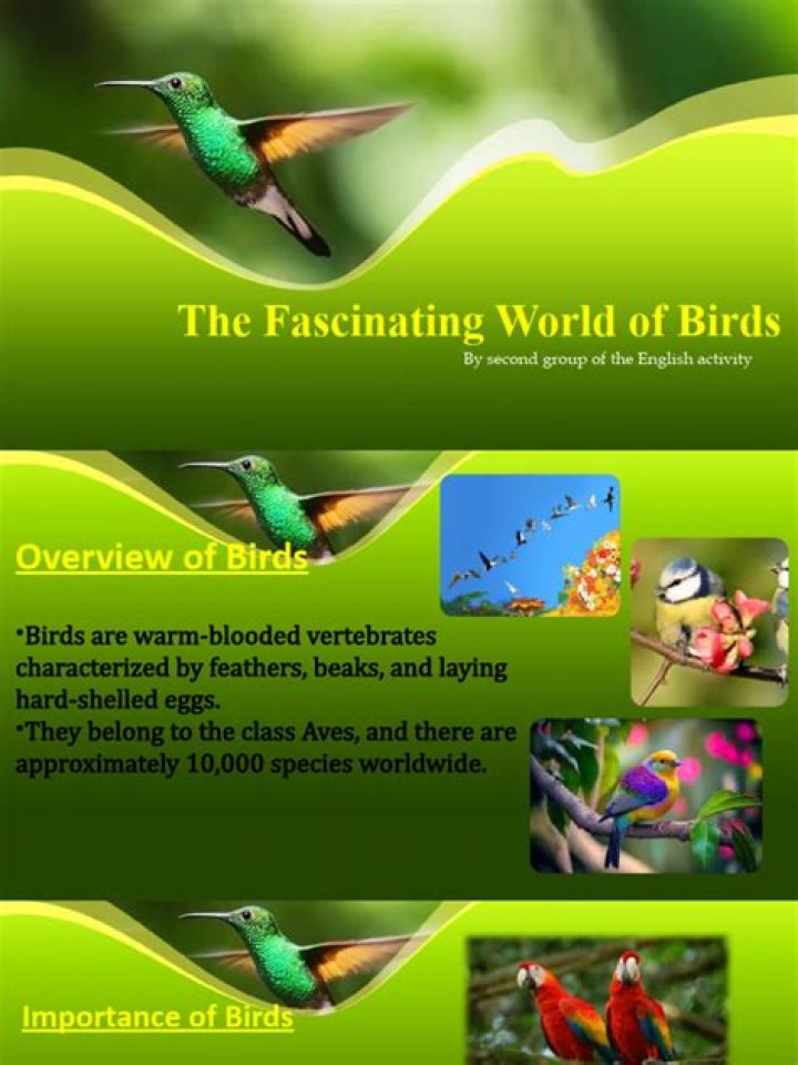 Exploring The Fascinating World Of Anahi_rmm