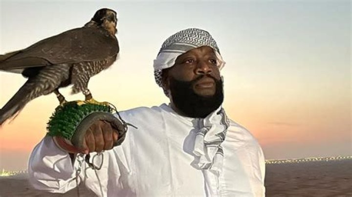 Exploring The Fascinating World Of Rick Ross And His Diving Board