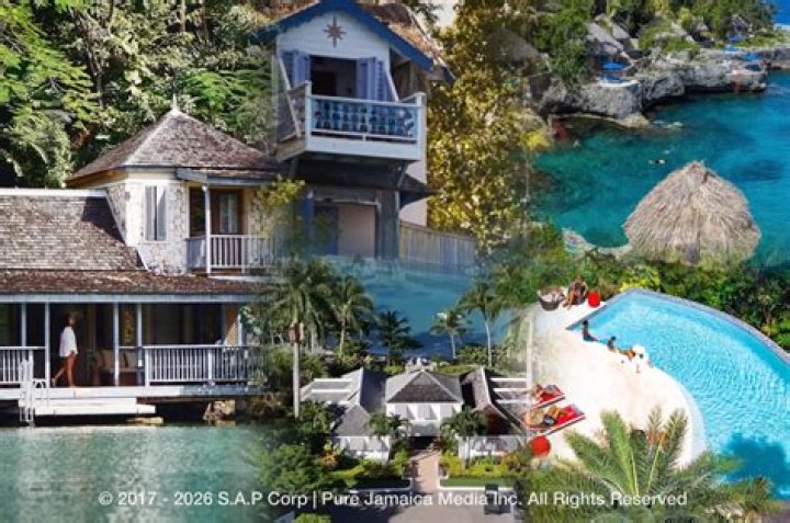 Exploring The Life And Impact Of Michael Orlando