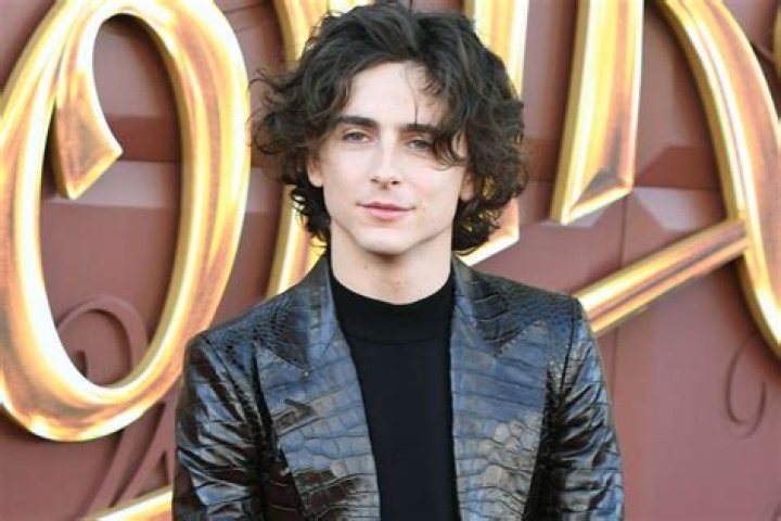 Exploring The Nationality Of Timothée Chalamet: A Deep Dive
