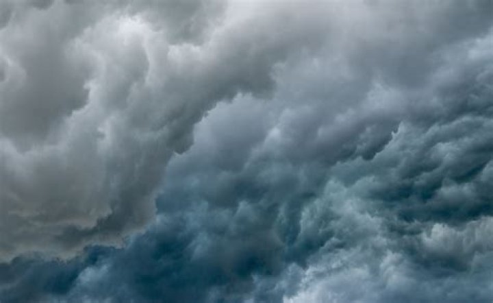 Exploring The Phenomenon Of The TikTok Dude