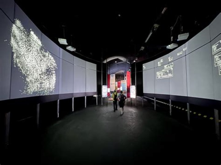 Exploring The Tawny Kitean: A Unique Perspective On Nature