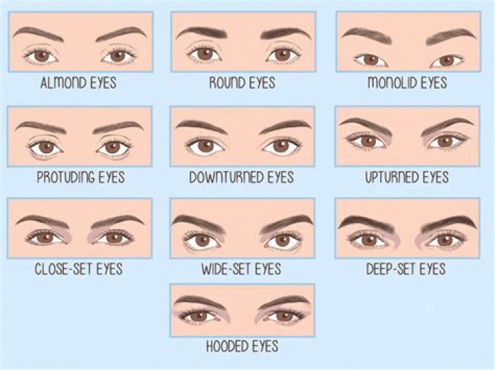 Eyes On The End: The Captivating Phenomenon Of Watching People Die