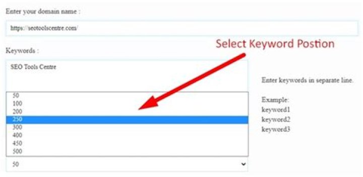 Free Keyword Position Checker SEO Ninja Softwares Search engine