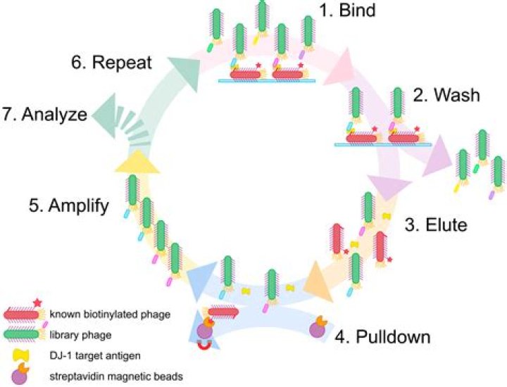 Has Anyone On Alone Died? An In-Depth Exploration