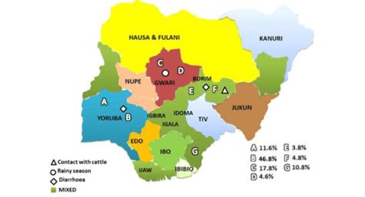 How many tribes in Nigeria? Legit.ng