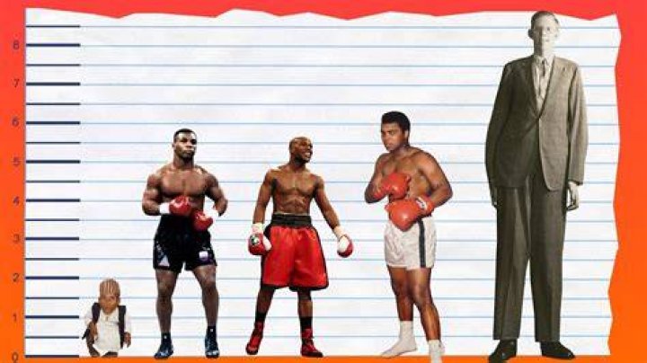 How tall is Mike Tyson? Fan Arch