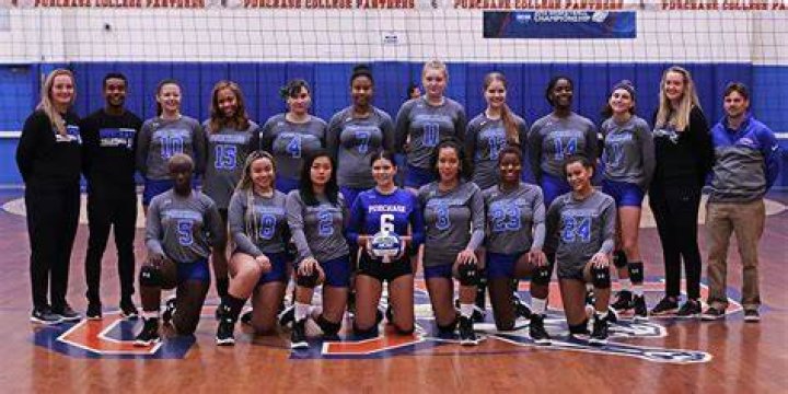 Isis Gaston 2018 Women's Volleyball Purchase College Athletics