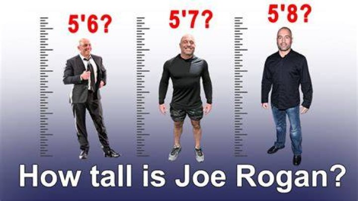 Joe Rogan Height (Proof with Visual Comparison) Heartafact