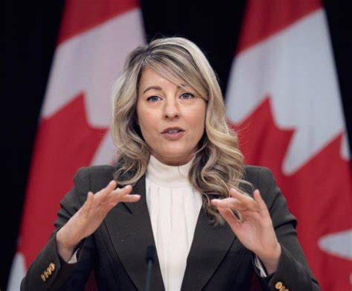 M&eacute;lanie Joly picture
