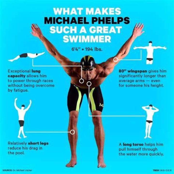 Michael phelps body is perfect for swimming Artofit