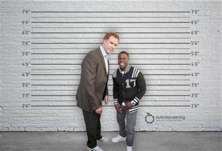 Neil Flynn: Unveiling The Height Of A Comedy Legend