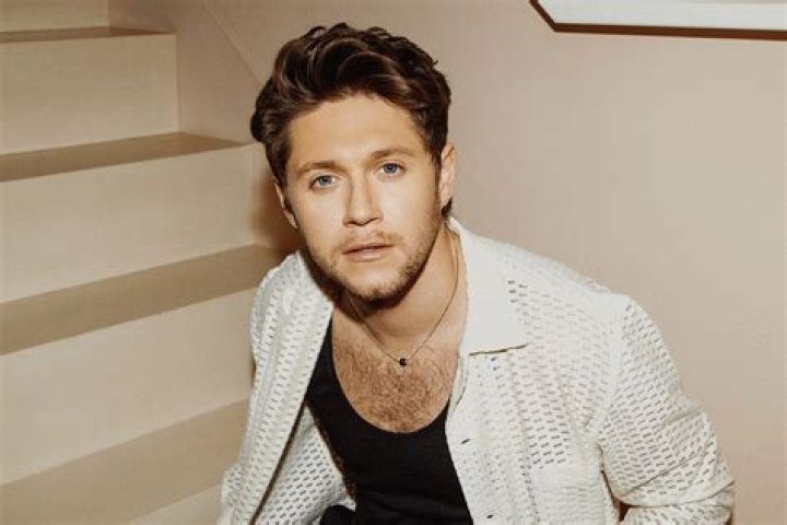Niall Horan's Hollywood Hills Home POPSUGAR Home Photo 4