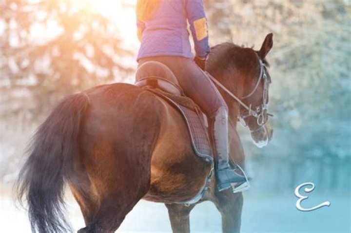Personalised Equine Insurance from The Insurance Emporium *Promotion