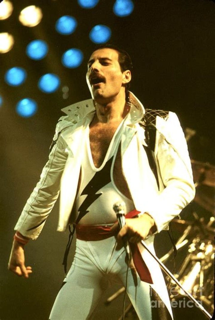 psihologic Turmă freddie mercury body Mărime relativă spaţiu Monopol