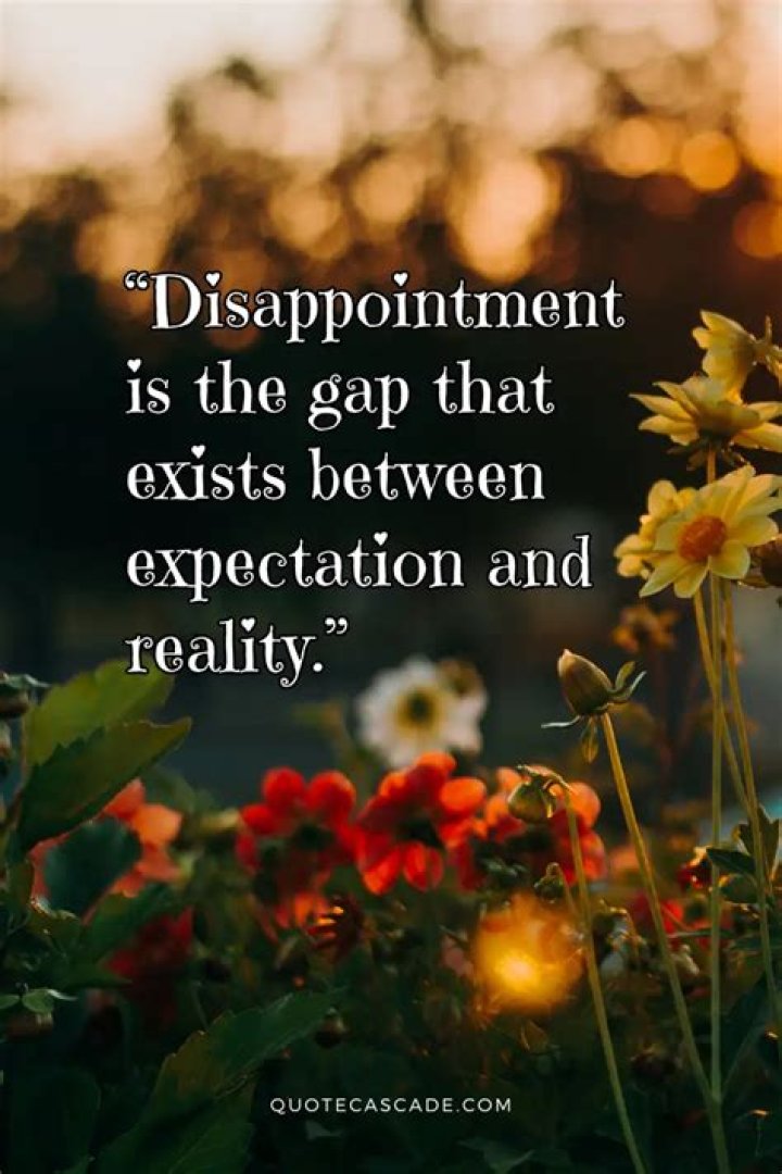 Quotes About Disappointment Keep Inspiring Me