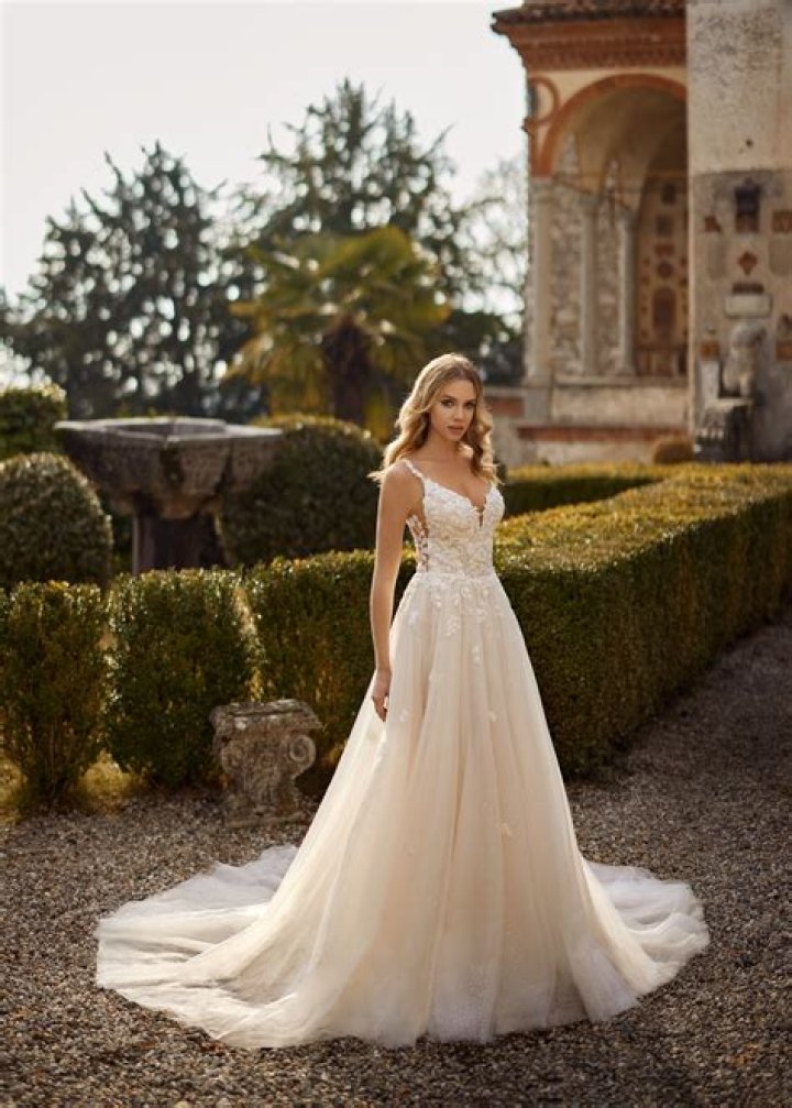 Randy Fenoli: The Journey To "Randy Fenoli Married"