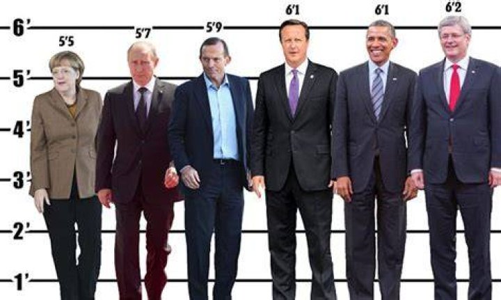 Russian President Vladimir Putin Height G20 World Leaders Height Revealed In Infographic Daily