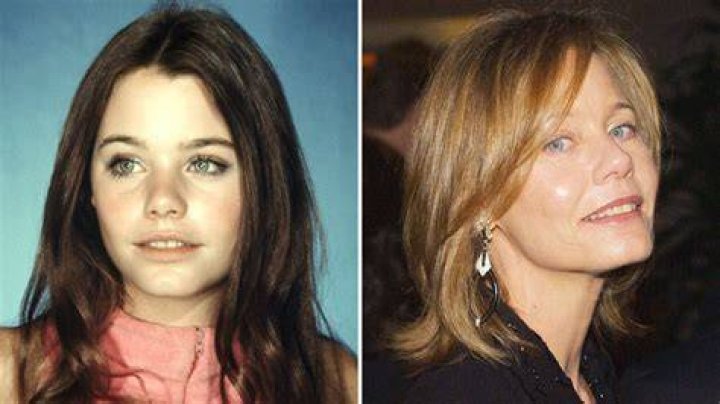 Susan Dey &mdash; NOW 16 Classic TV Stars Then and Now Purple Clover