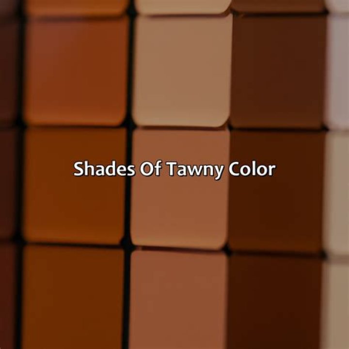 Tawny: The Rich Shade Of Nature And Culture