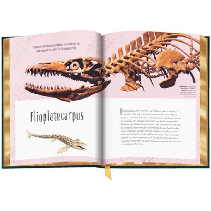 The Complete Guide To Zoe Perry: Bio, Career, And Achievements