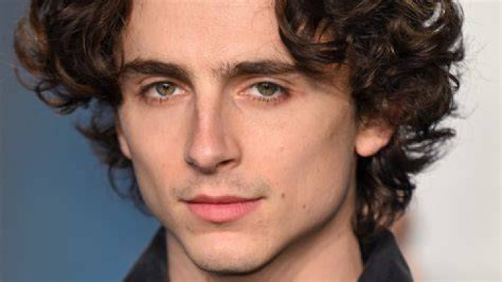 Timoth&eacute;e Chalamet Wiki, Bio, Age, Net Worth, and Other Facts Facts Five