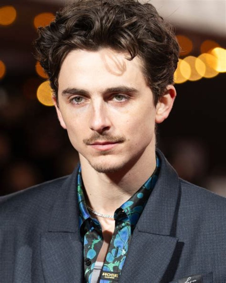 Timothée Chalamet's Daddy: Exploring The Star's Family Dynamics