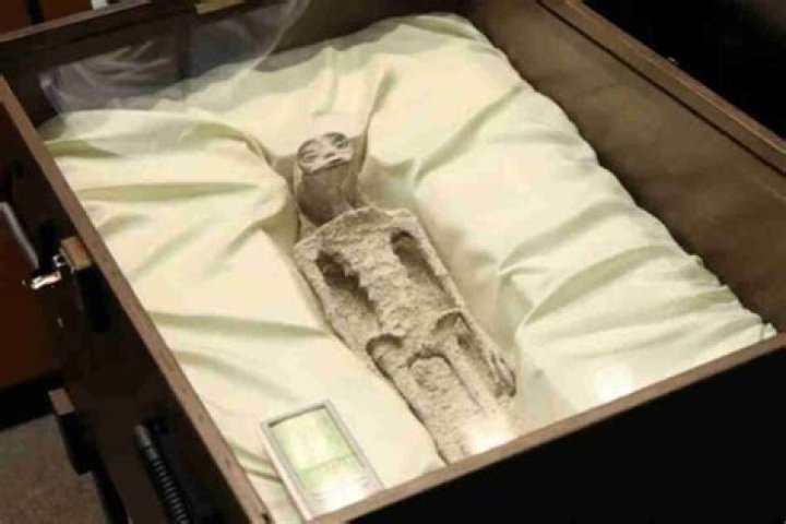 Ufologist Presents Alleged Ancient Alien Corpses to Mexican Congress