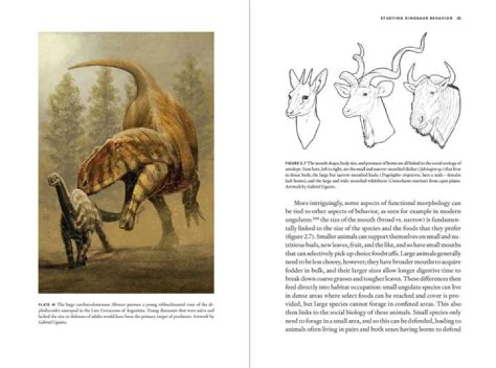 Uncovering The Secrets Of Barren Trumo: A Comprehensive Guide