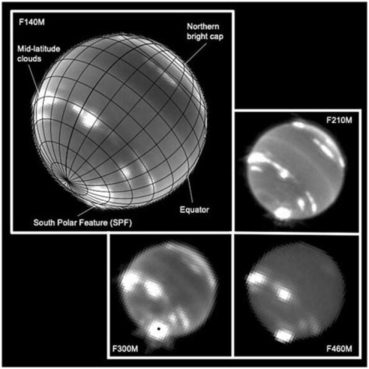 Understanding Alligator Tears: A Deep Dive Into The Sample Phenomenon