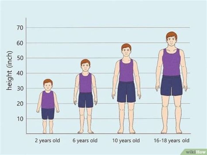 Understanding Growth: Is 6 Inches Good For A 16 Year Old?