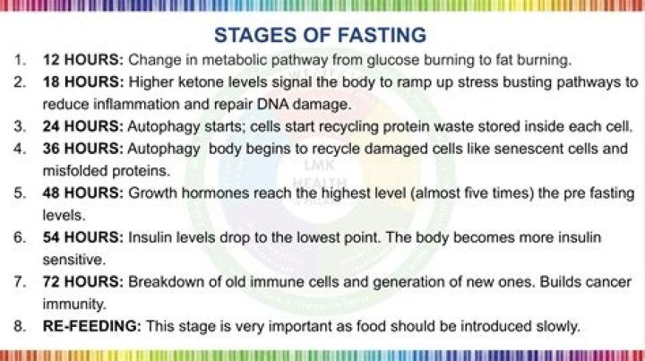 Understanding The Impact Of A 72 Hour Fast On Muscle Loss