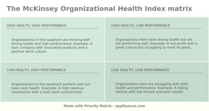 Unlocking Business Potential: The McKinsey Organizational Health Index
