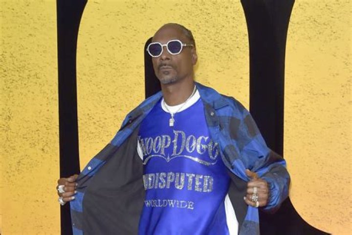 Unraveling The Mystery Of Snoop Dogg's Arrest: A Detailed Look