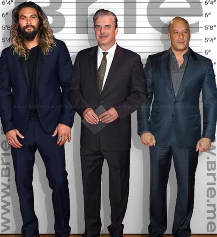 Unveiling The Height Of Chris Noth: How Tall Is He Really?