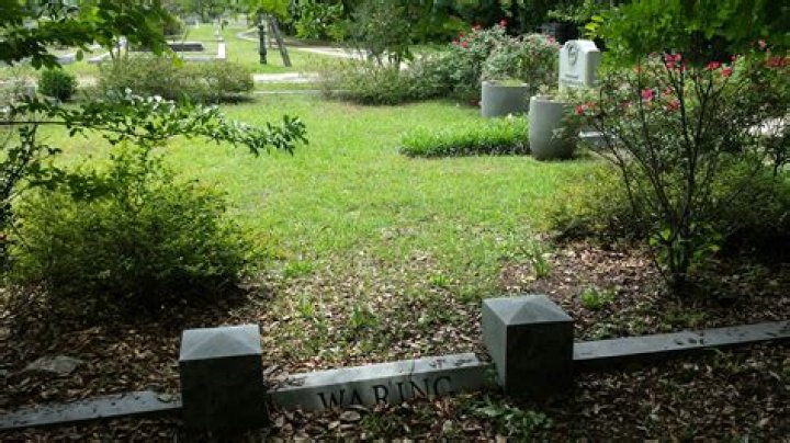 Unveiling The Life And Journey Of Kate Waring