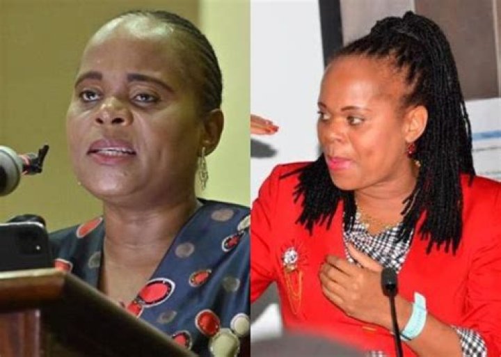 Unveiling The Mystery: Is Phophi Ramathuba Married?