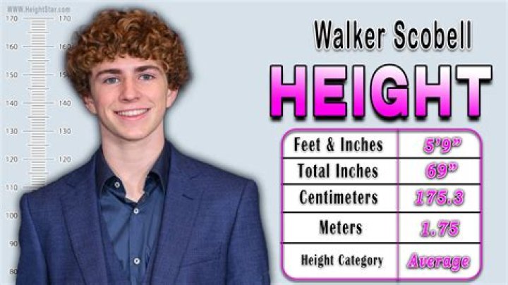 Walker Scobell Height Age Weight Wiki & Bio Percy jackson, Jackson