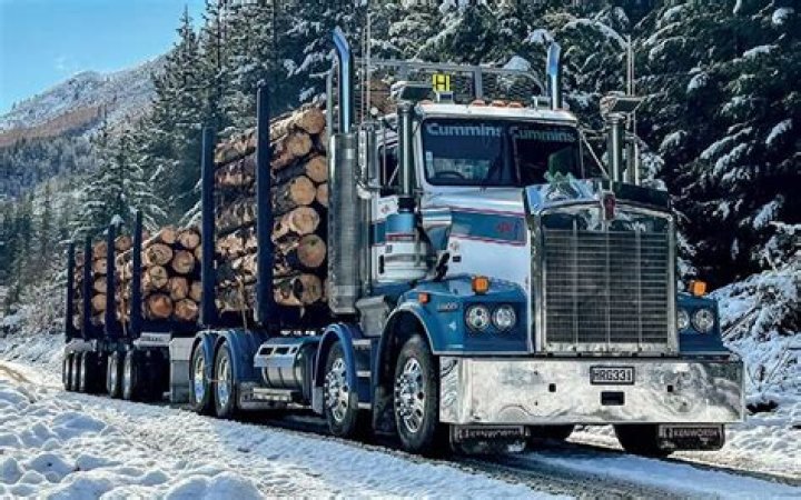 Wbob Trucking: A Journey Through The Roads Of Logistics